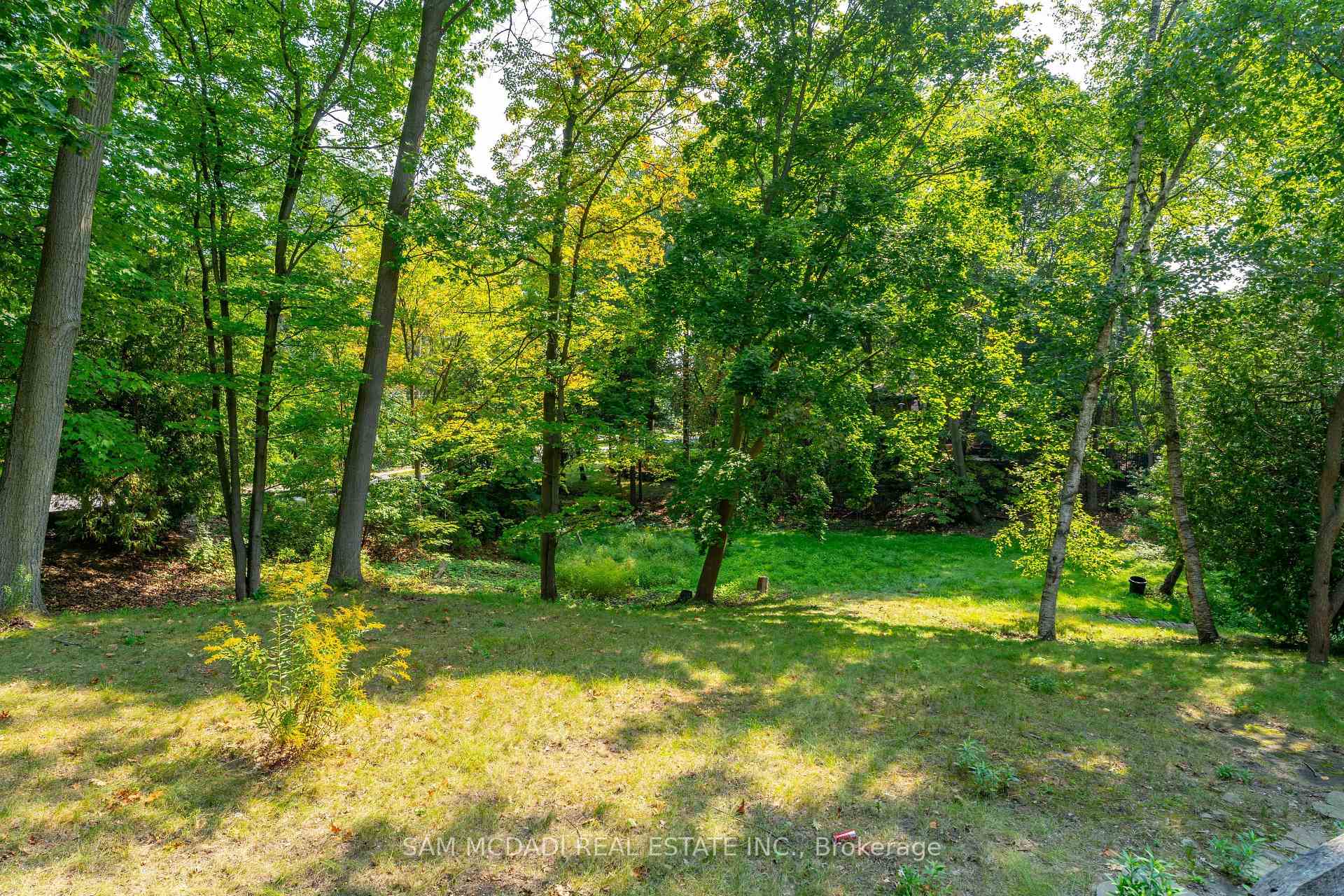 1322 Birchview Drive