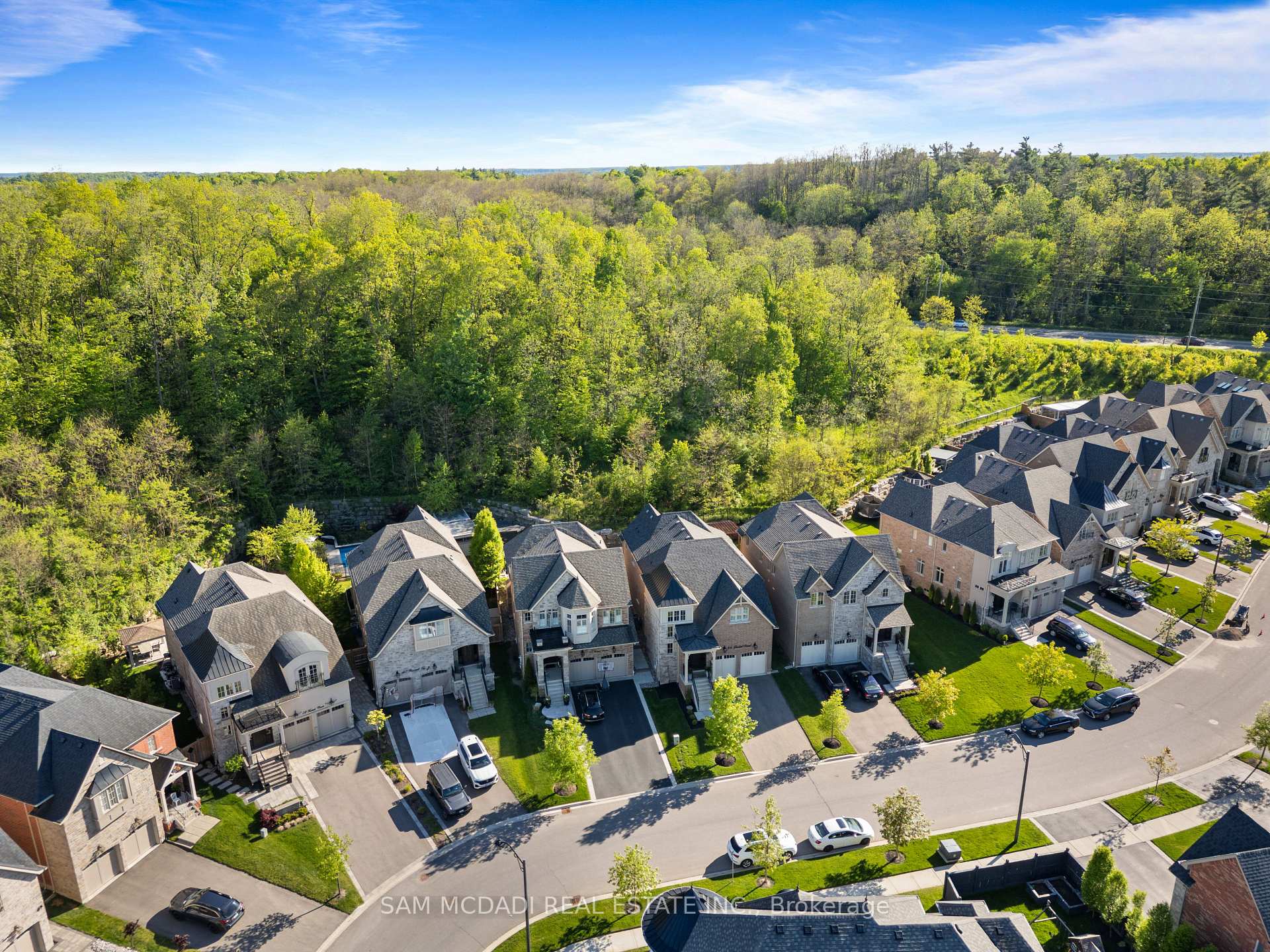 46 Foxtail Court