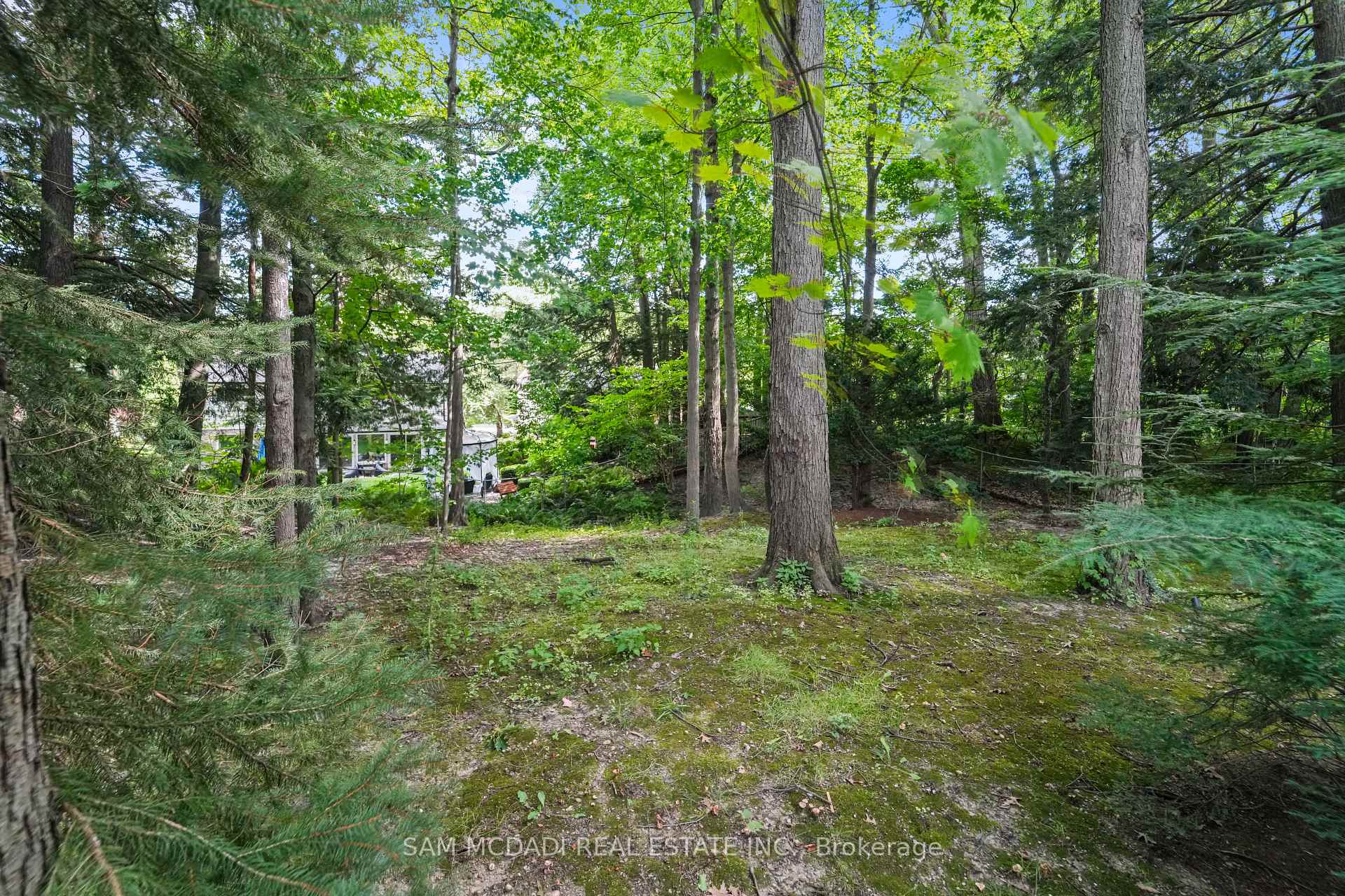 1578 Spring Road