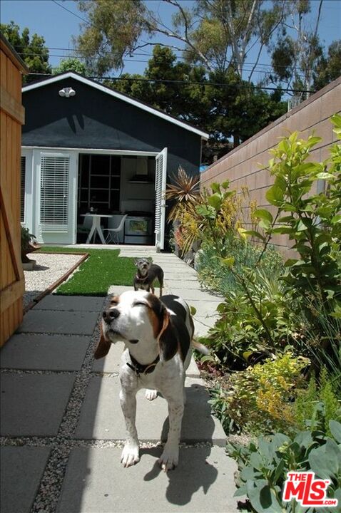 887 Commonwealth Ave