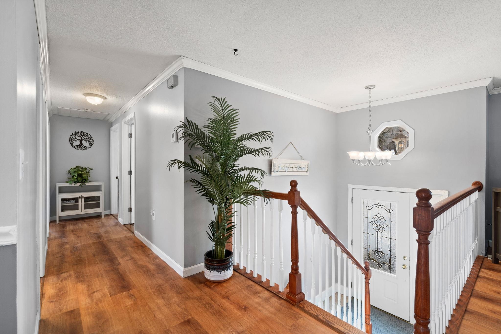44 Island Pond Road