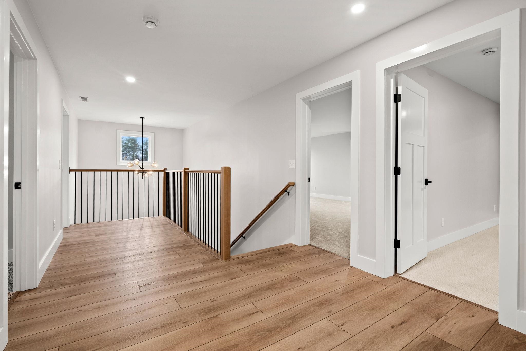 25 Lily Lane