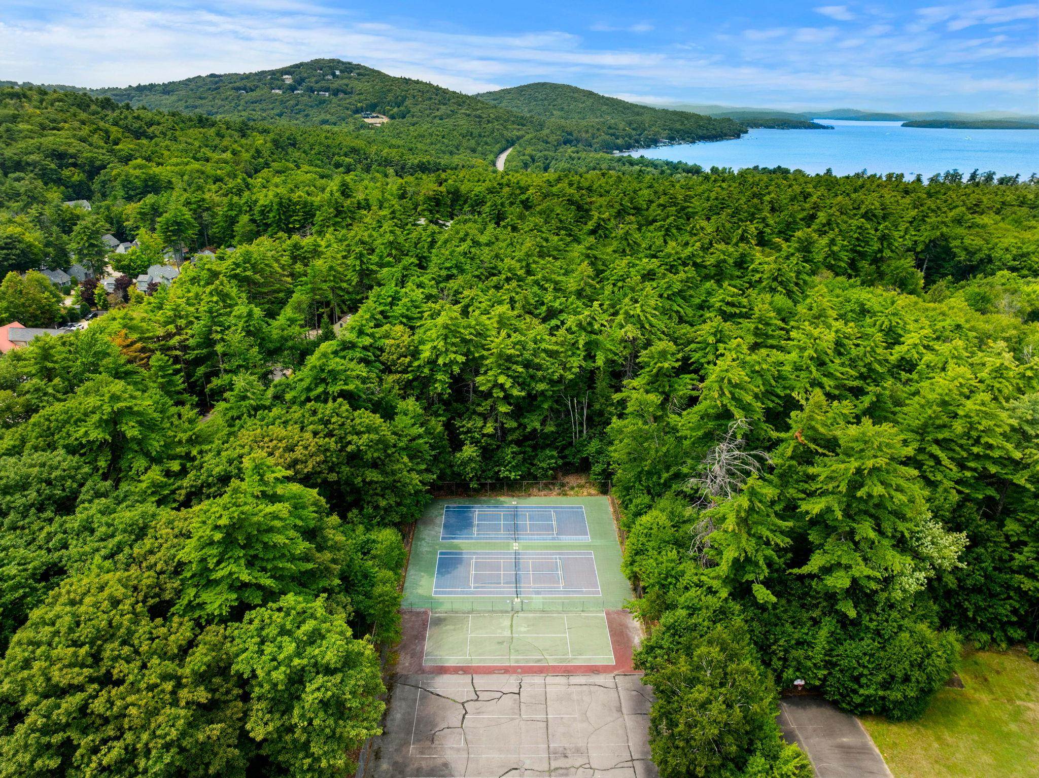 235 Chestnut Drive