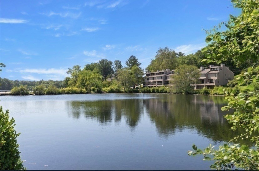 115 Mill Pond # 115