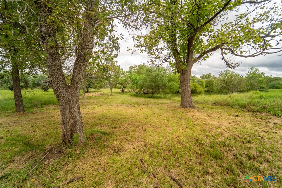 145 Timberline Drive