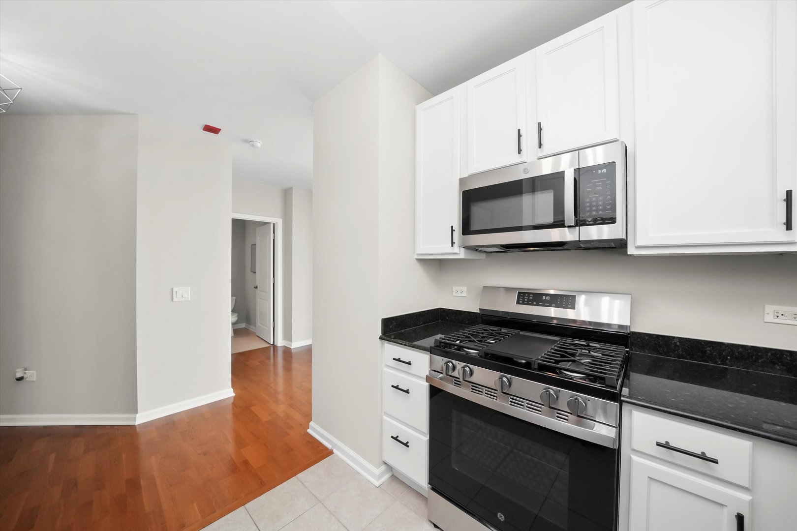 125 S Jefferson Street Unit: 1702