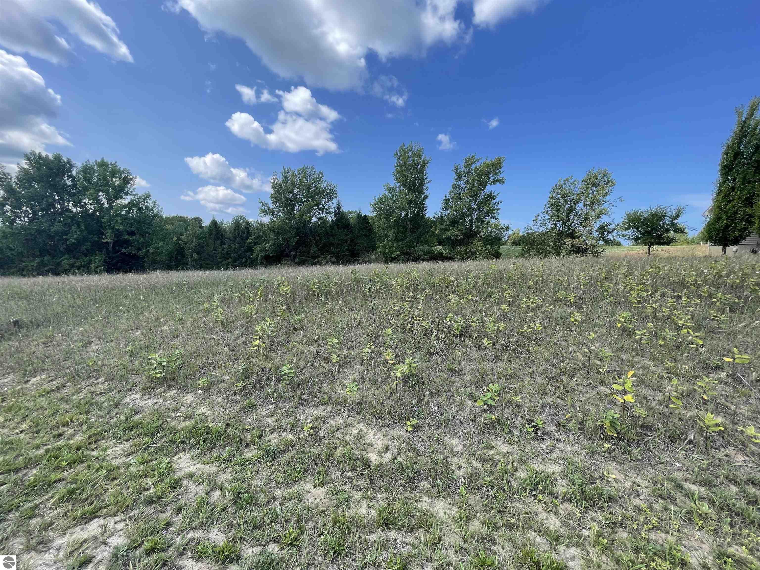 Lot 20 S Cedarview Lane