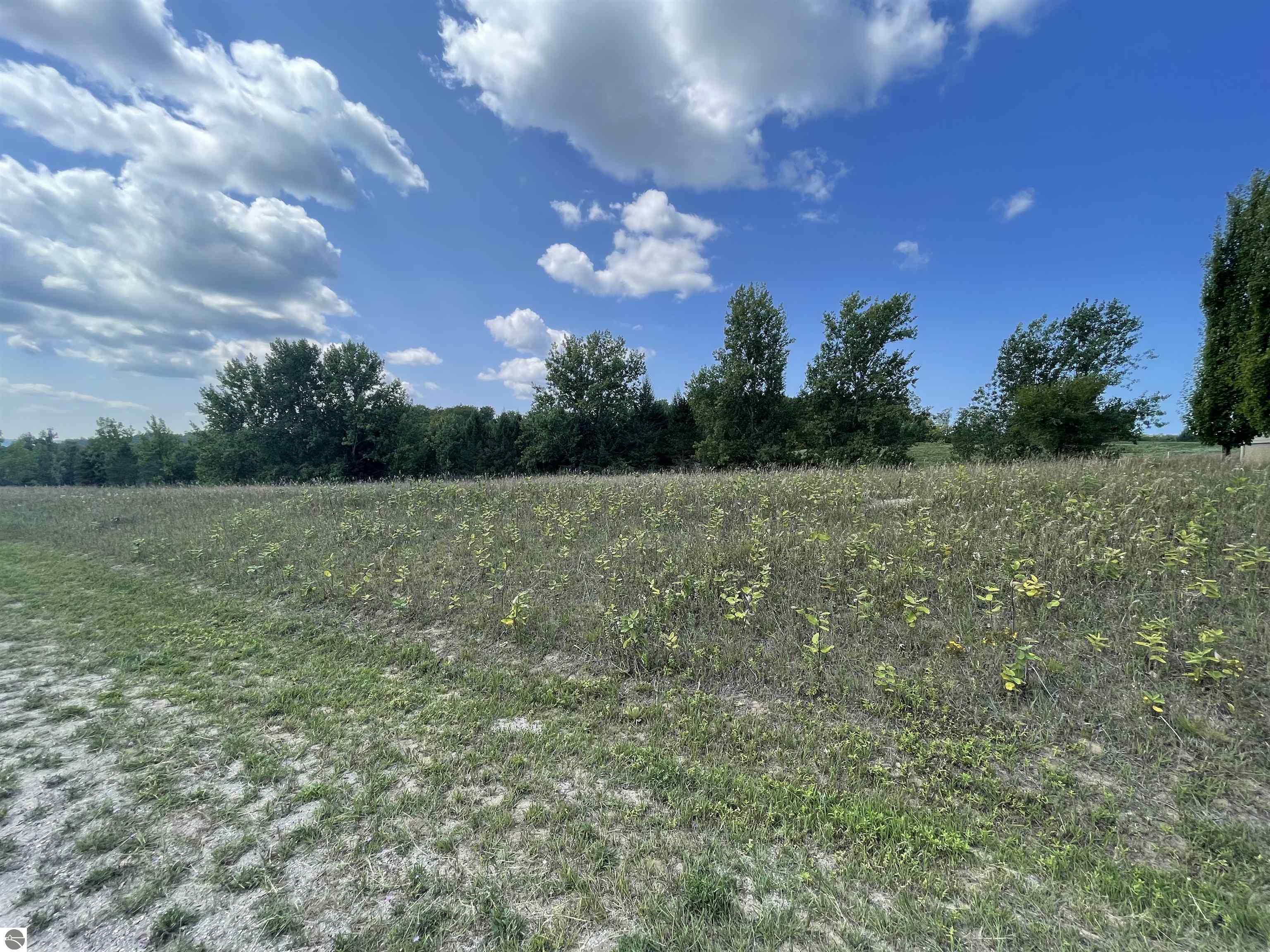Lot 20 S Cedarview Lane