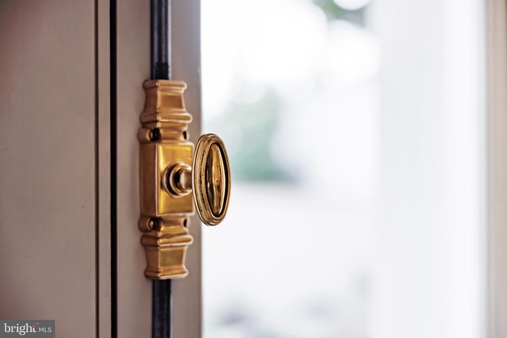 Ornate brass oval door handle and lock on a dark wooden door.