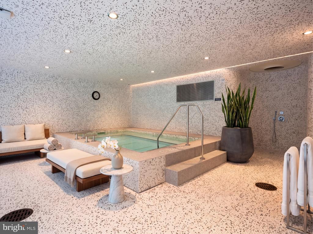 Indoor spa pool with lounge seating, metal handrails, and a large potted plant.