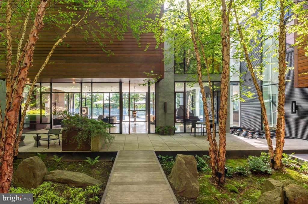 Modern glass-walled home entrance framed by trees, a paved garden path, and a wood-clad overhang.