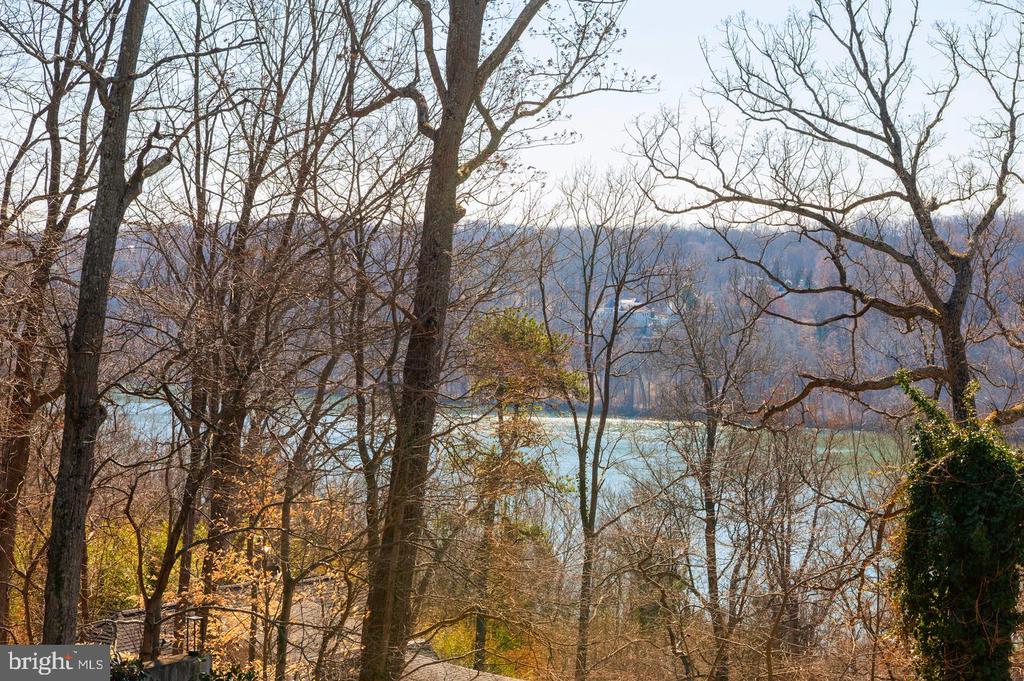 Water view through leafless trees, with a forested hillside beyond.