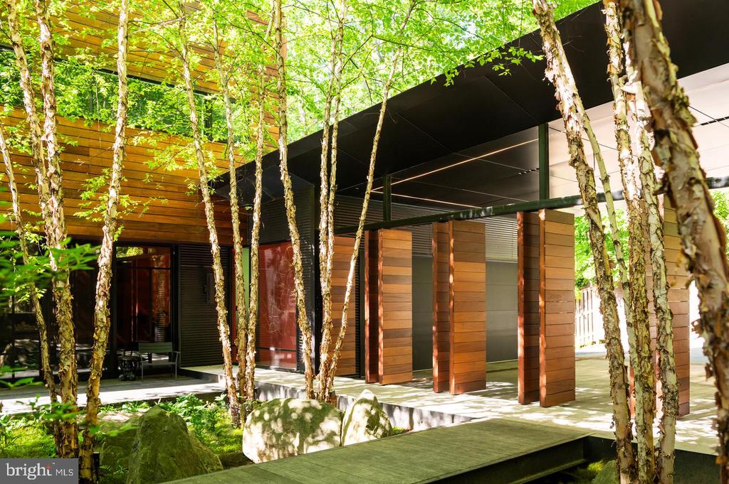 Modern wood-clad home nestled among slender trees, with a flat roof and raised walkway.