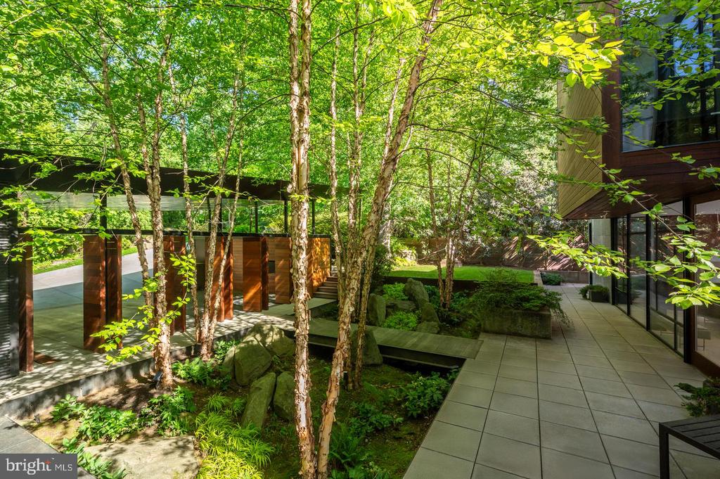 Modern home courtyard with glass walls, a tiled walkway, slender trees, and landscaped rocks.