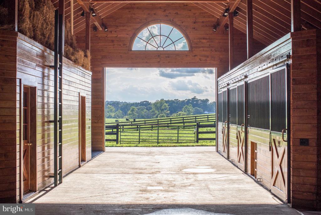 Wooden horse stable interior opening onto fenced green pasture.