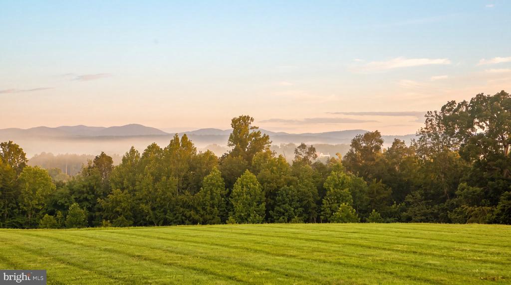 Mown lawn bordered by trees, with misty mountain ridges in the distance.