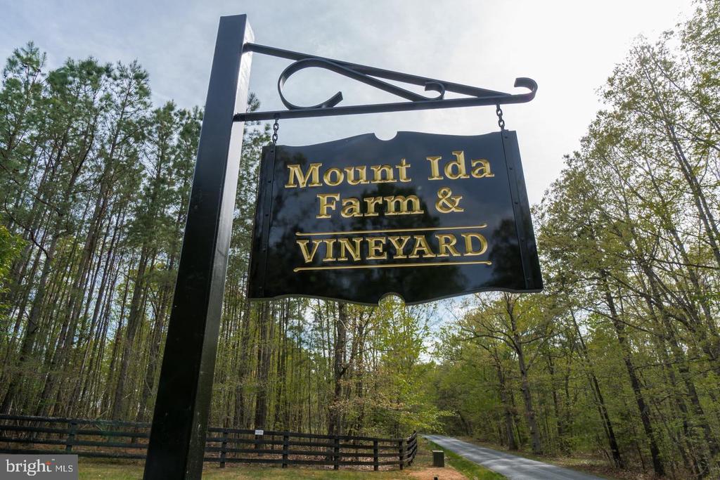 Mount Ida Farm & Vineyard entrance sign beside a wooded driveway.