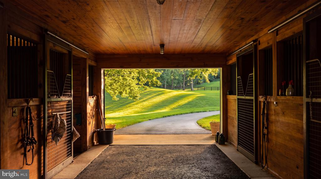 Wood-paneled horse stable with metal-grille stalls opening onto a sunlit lawn and curved driveway.