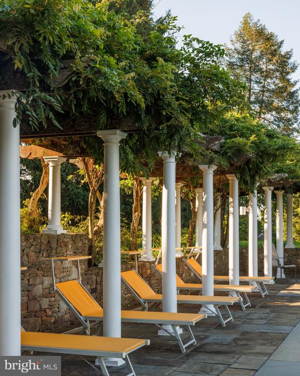 Patio with orange chaise lounges beneath a leafy pergola and white columns.