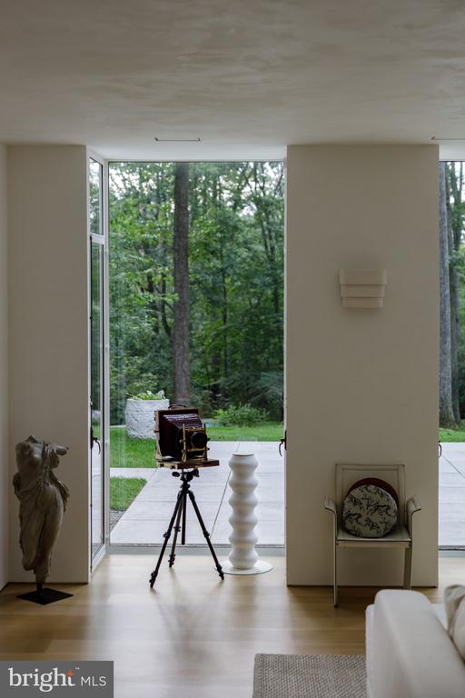 Interior with floor-to-ceiling glass doors overlooking a wooded patio, vintage camera on a tripod, and sculptural decor.