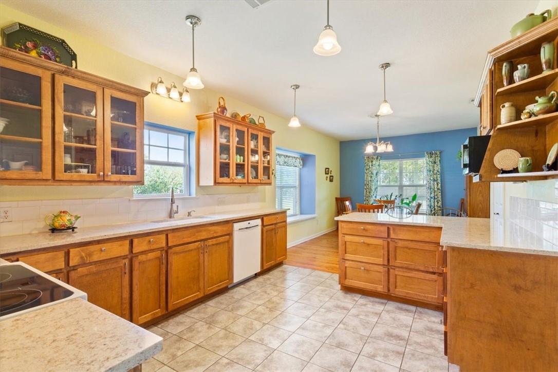 419 Bluebonnet Lane