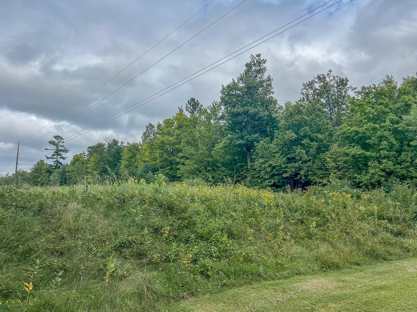 TBD State 84 Highway