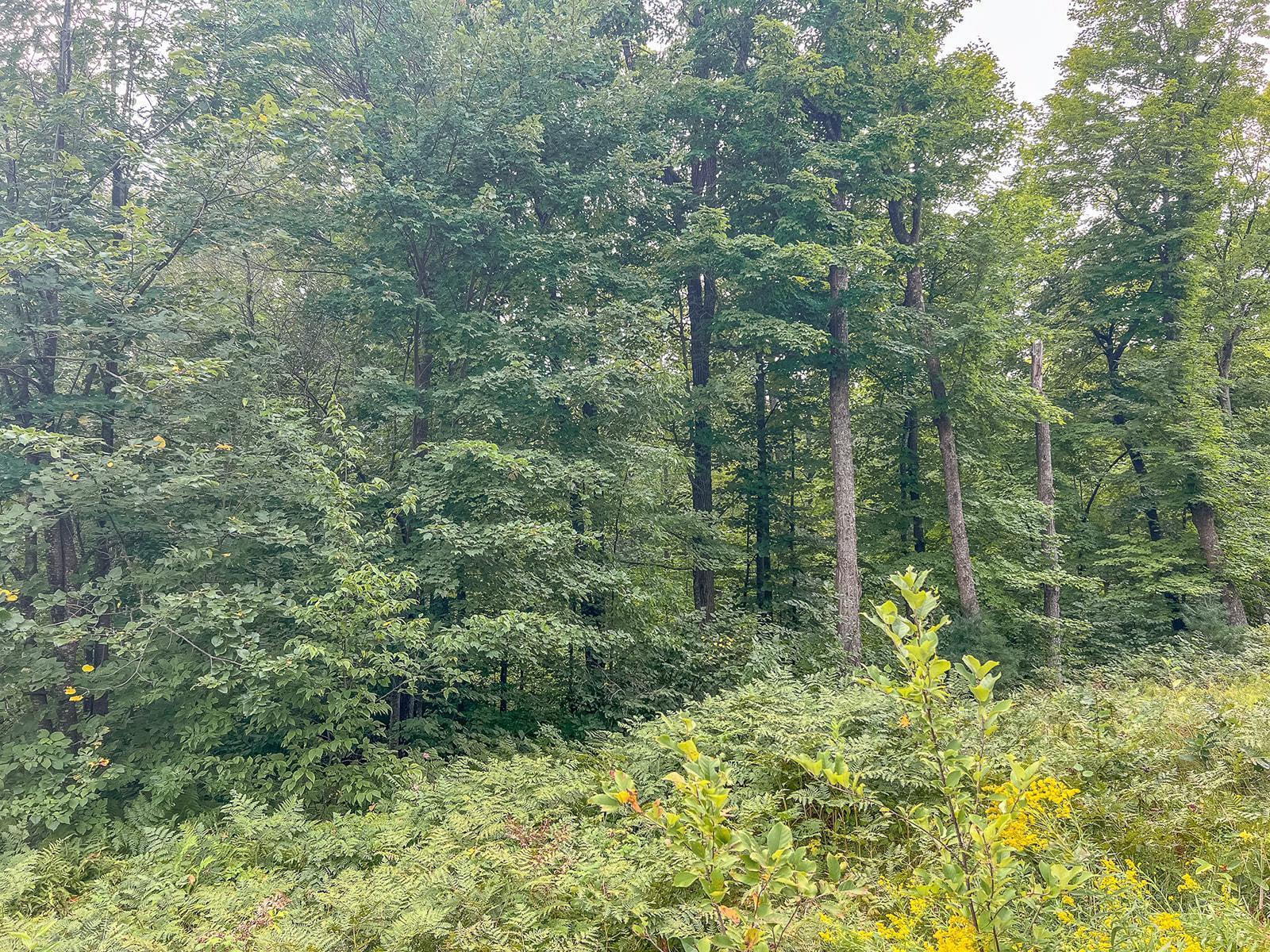 TBD State 84 Highway