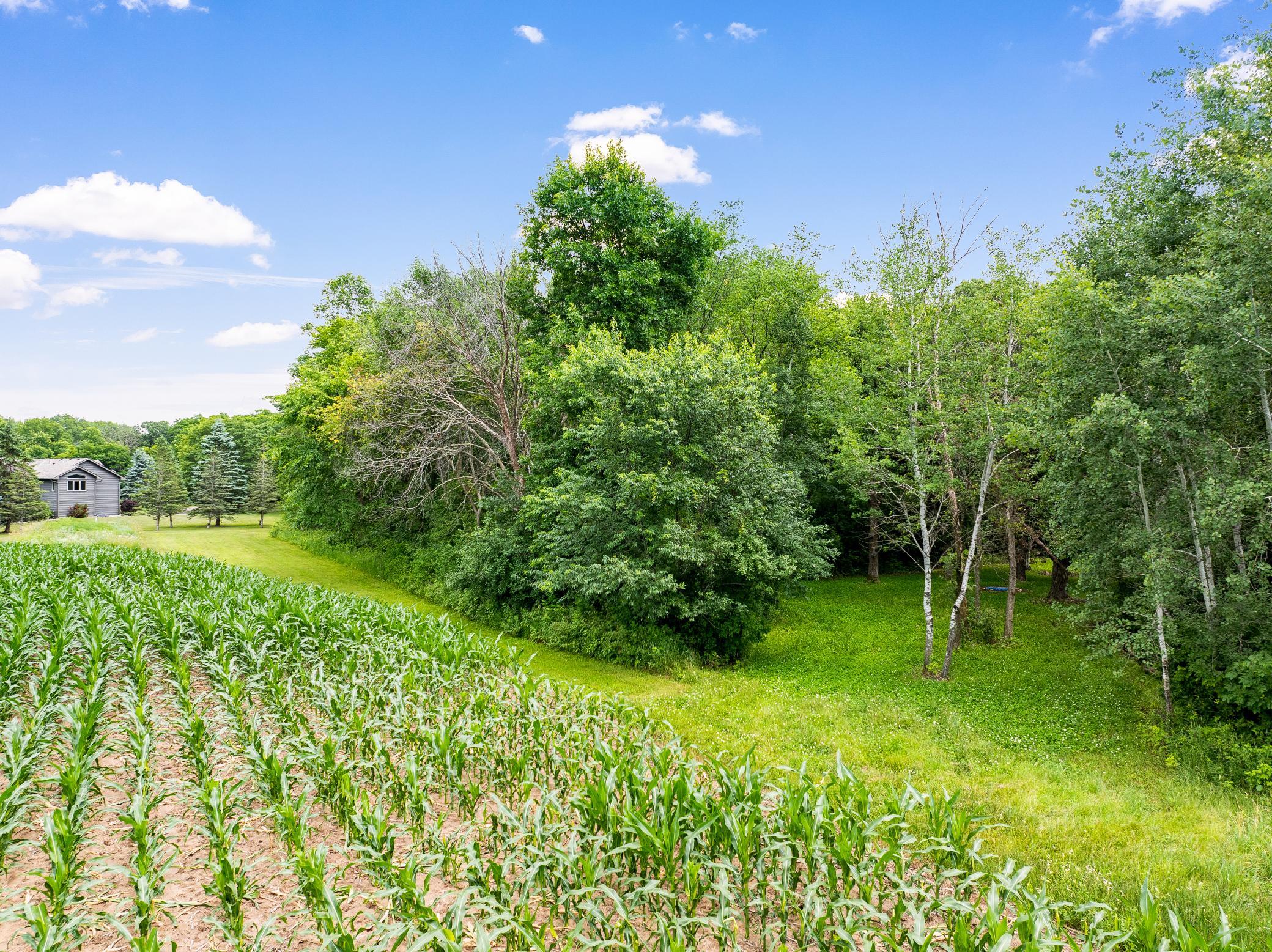 Secluded, 20‑Acre Estate with Room to Roam, Farm, Play, Hunt, and Entertain