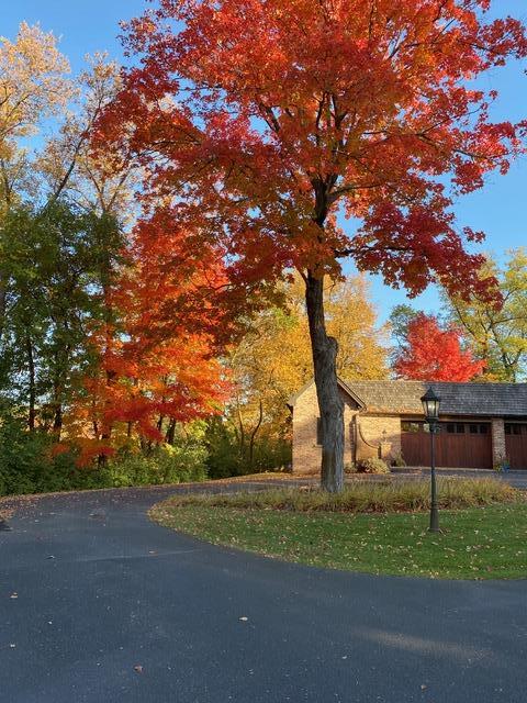 360 Degrees of Privacy on Ferndale With Deeded Access to Lake Minnetonka
