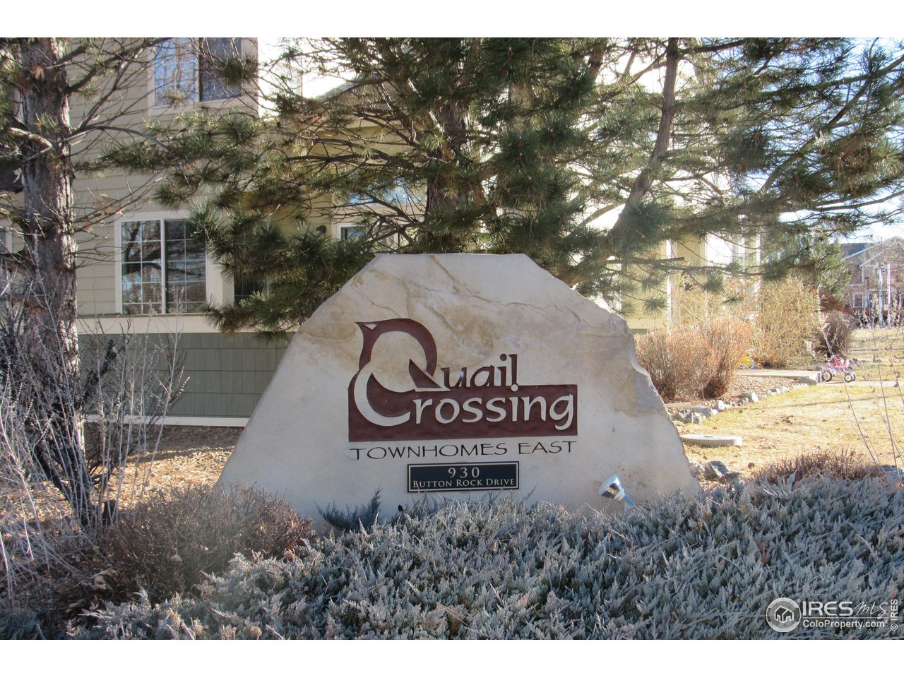 930 Button Rock Dr 89