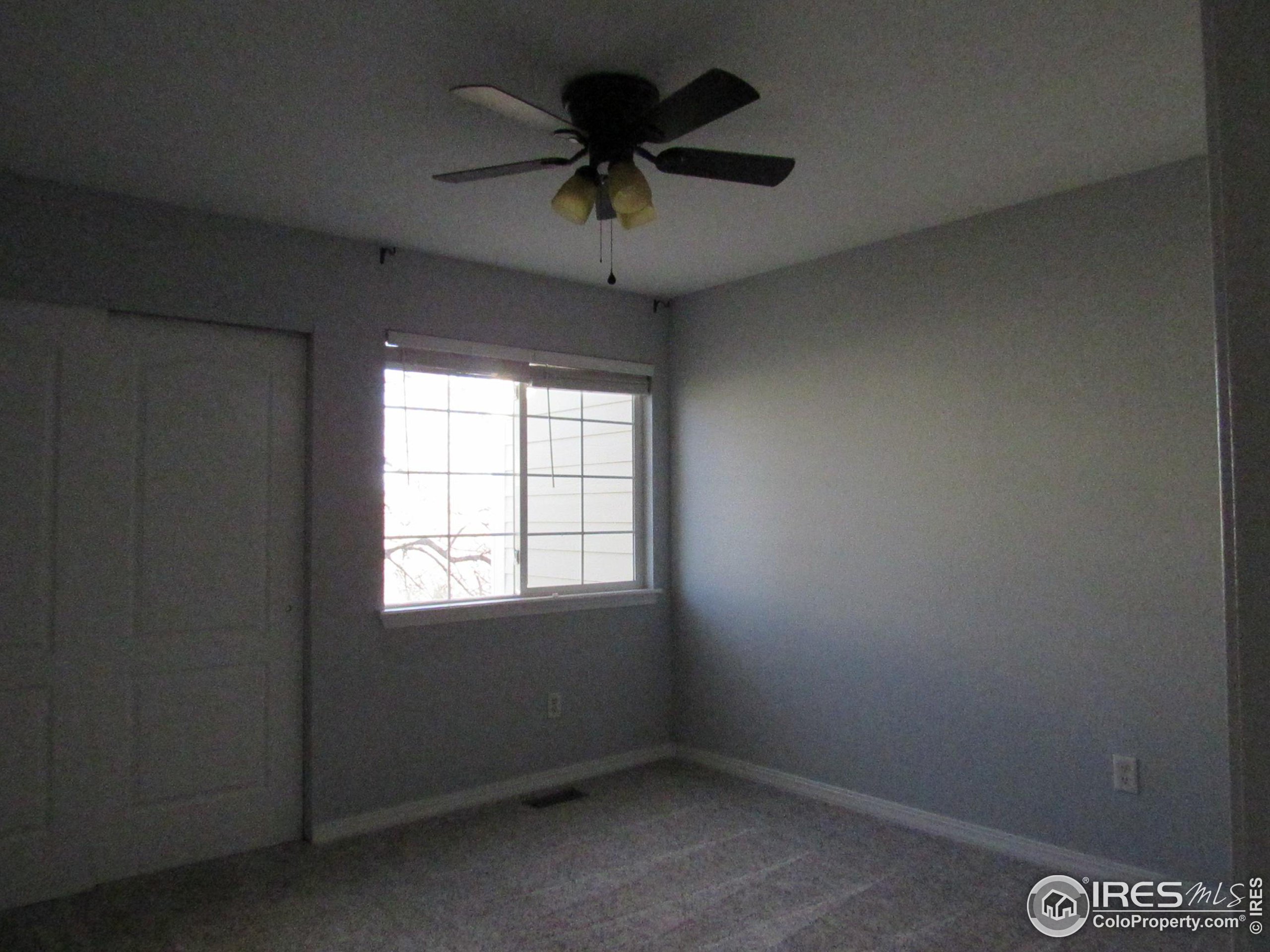 930 Button Rock Dr 89