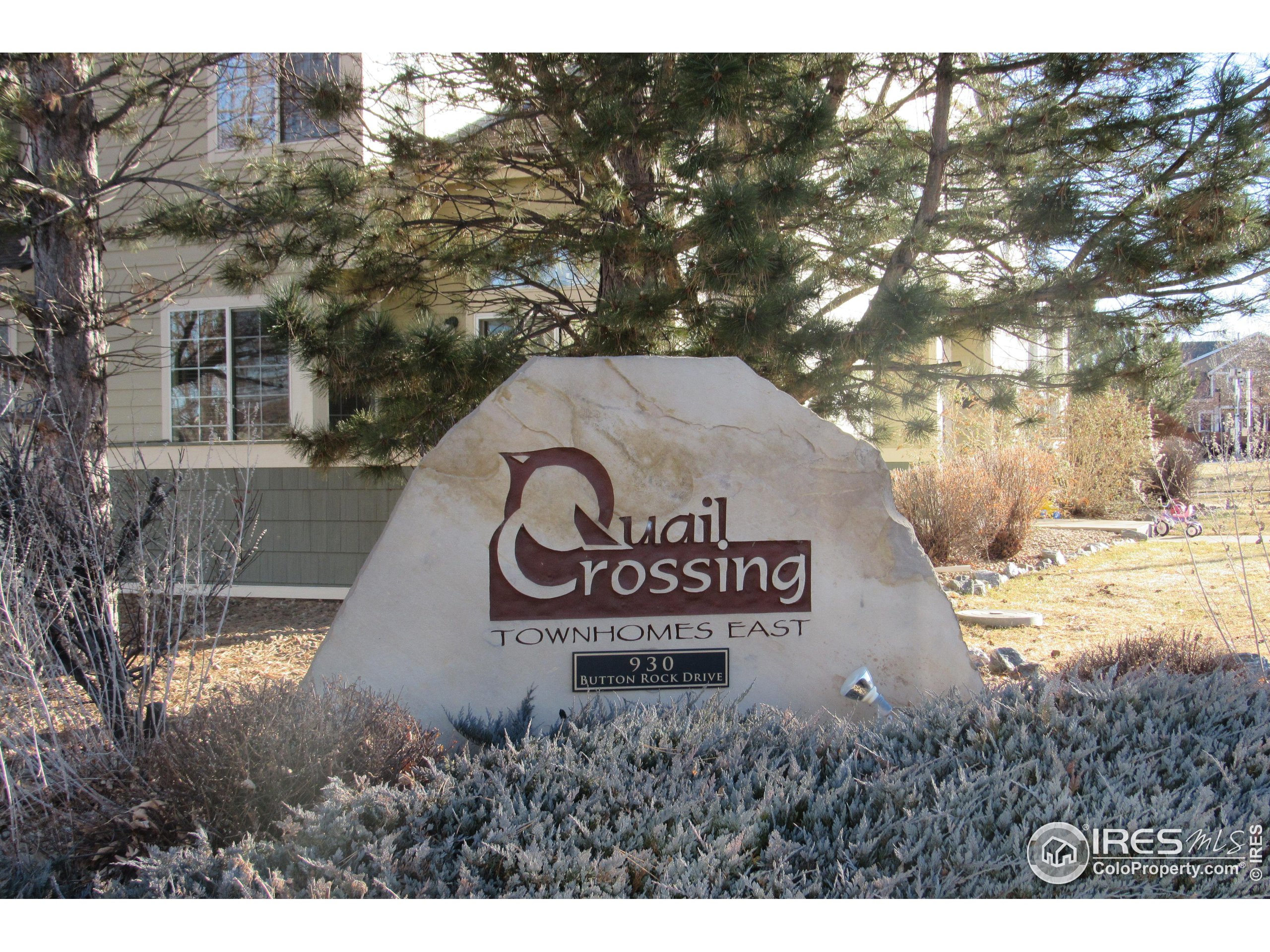 930 Button Rock Dr 89