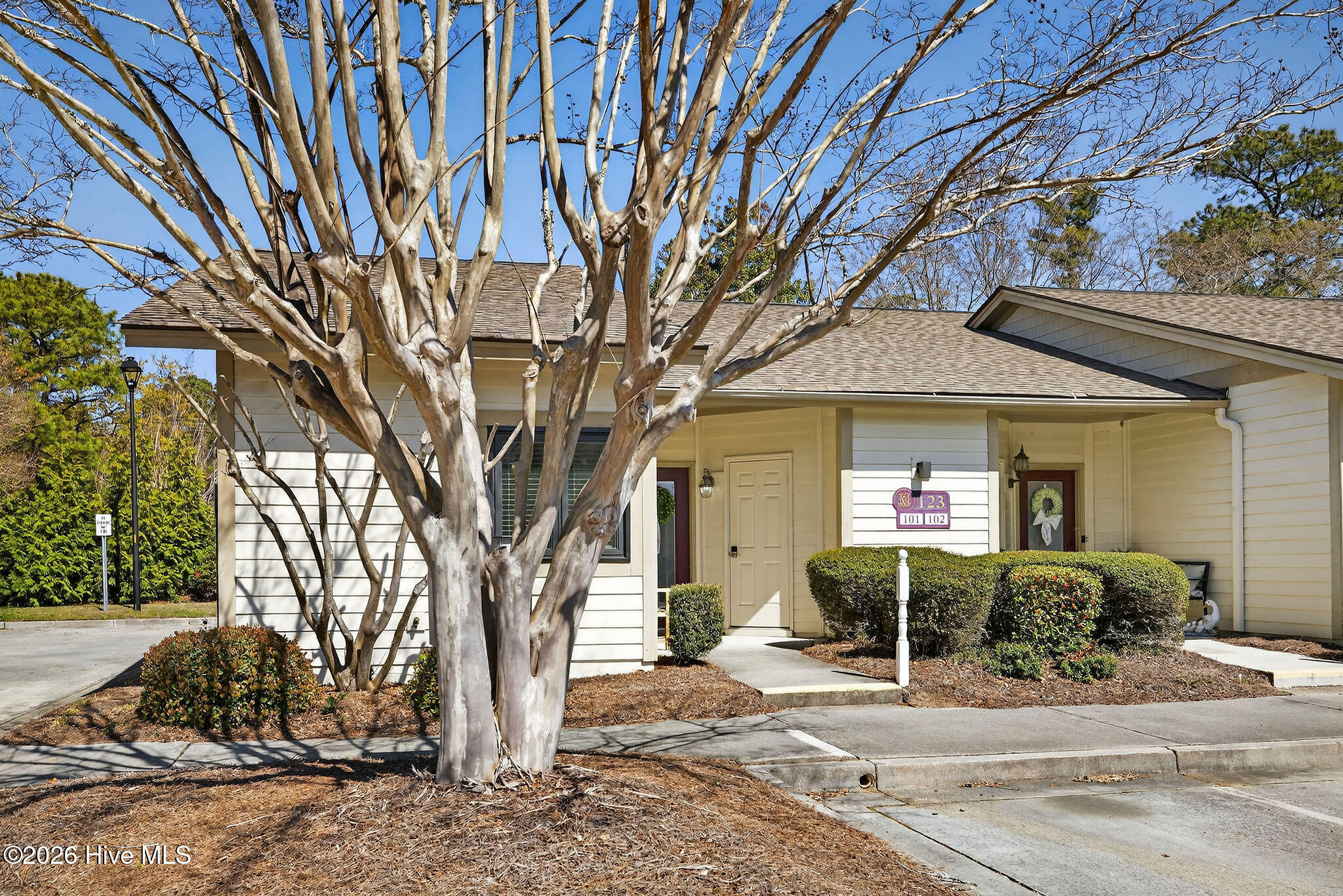 123 Longstreet Drive Apt 101
