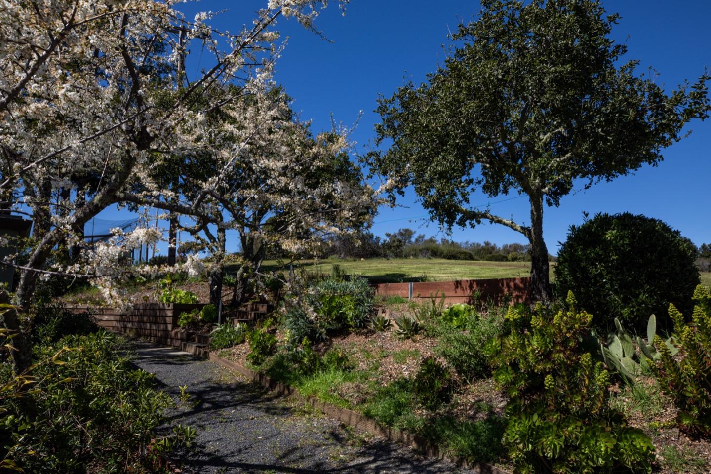 3810 Page Mill RD