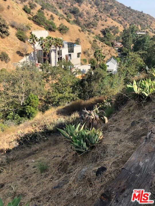 2301 NE Nichols Canyon