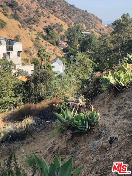 2301 NE Nichols Canyon