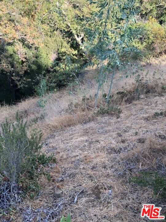 2301 NE Nichols Canyon