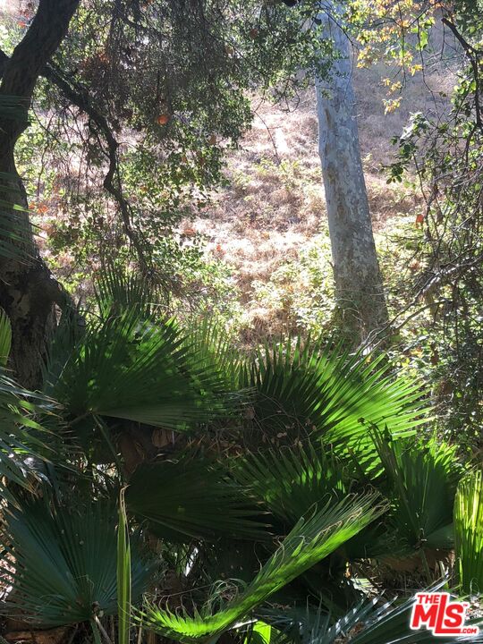 2301 NE Nichols Canyon