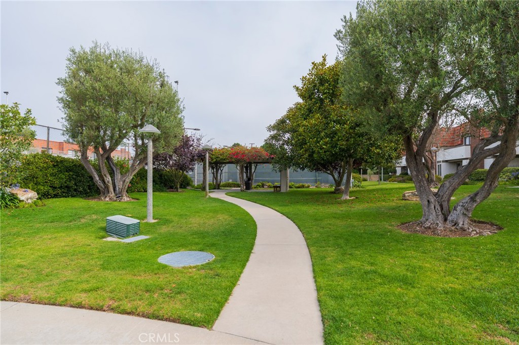 28033 Ridgebluff Court