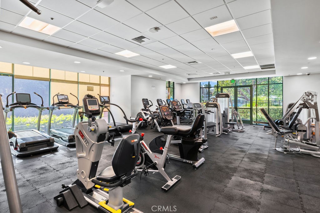 5300 Playa Vista