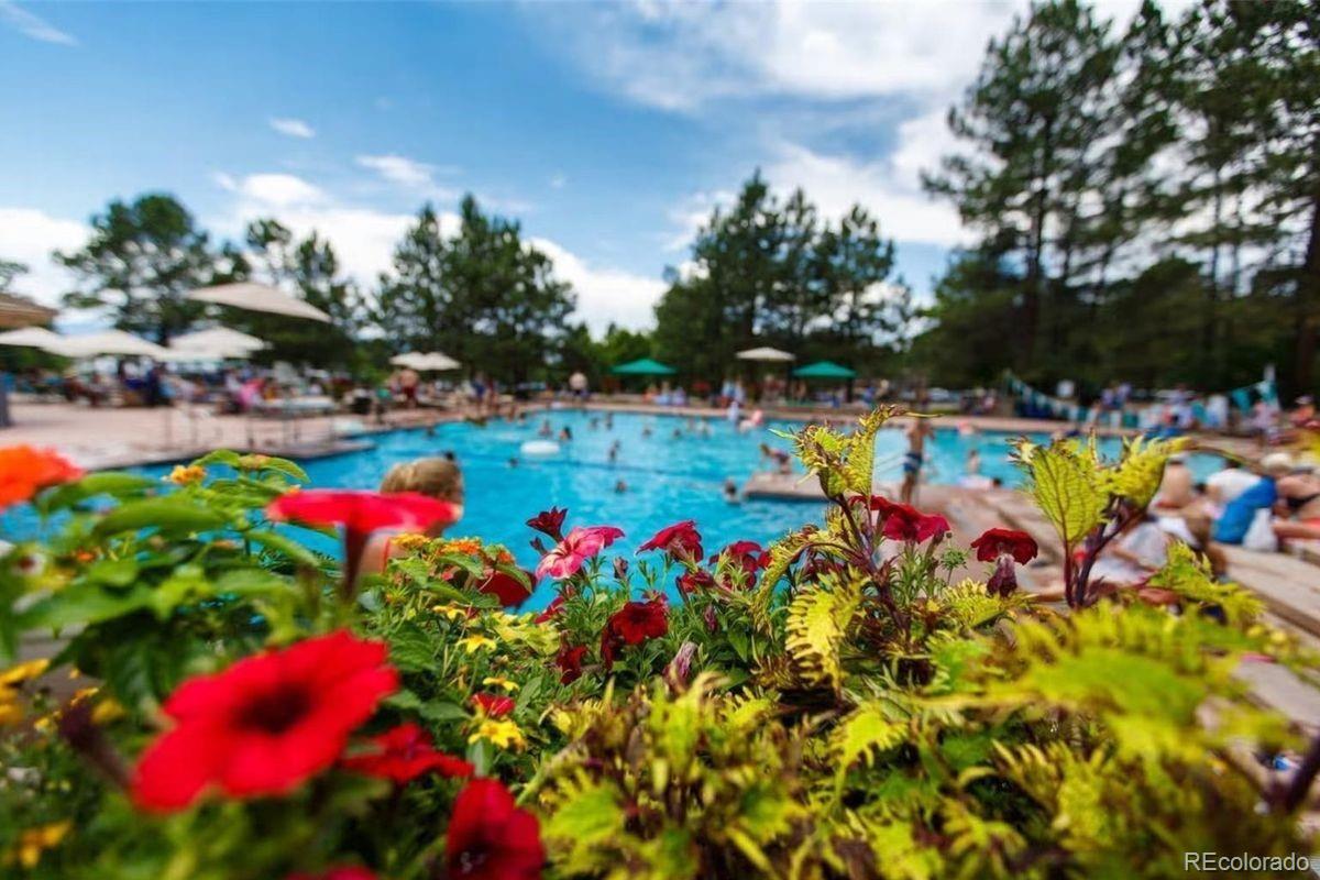 6196 Oxford Peak Lane