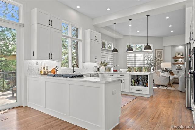 4517 Silver Cliff Court