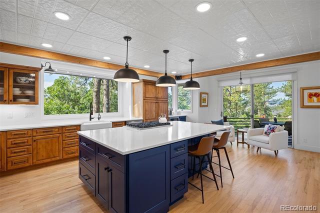 306 Castle Pines Drive