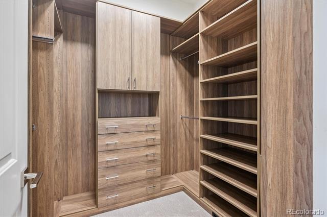 1210 Wildcat Bend Court