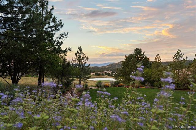 1054 Cypress Way