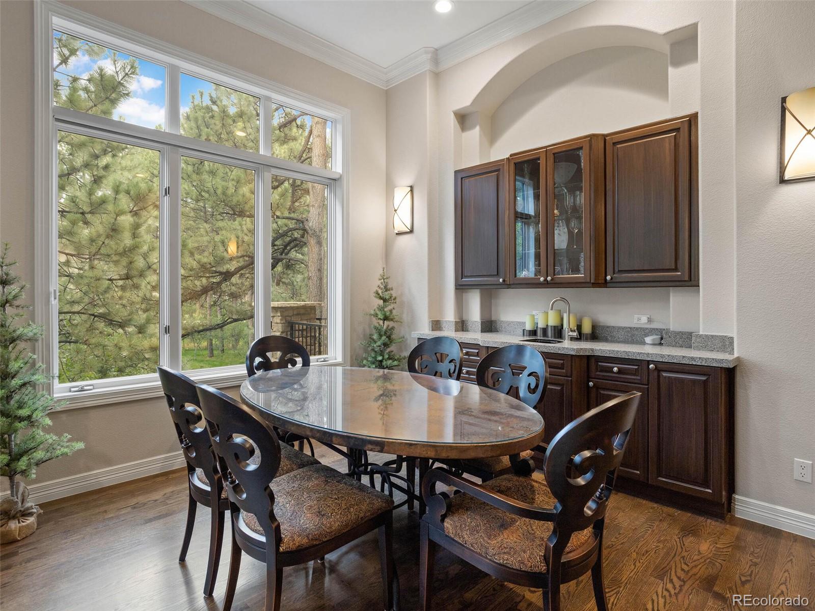 4541 Silver Dale Court