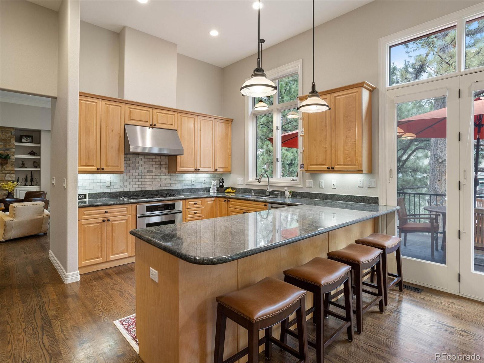 4541 Silver Dale Court