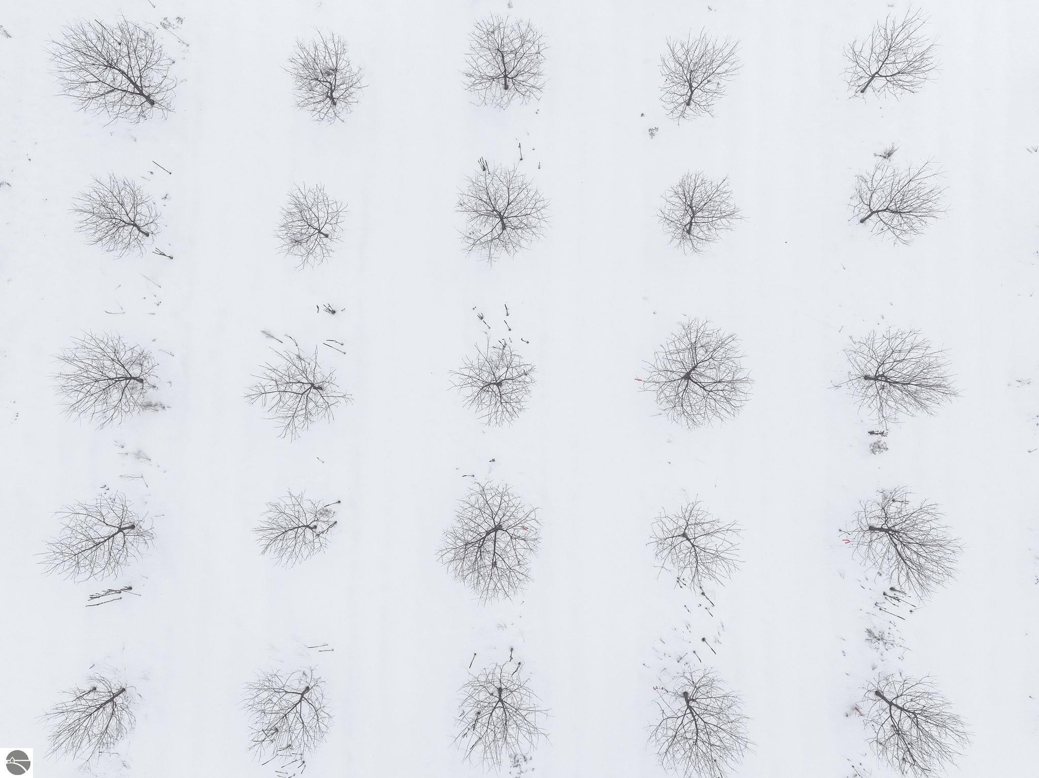 Parcel B Chippewa Trail