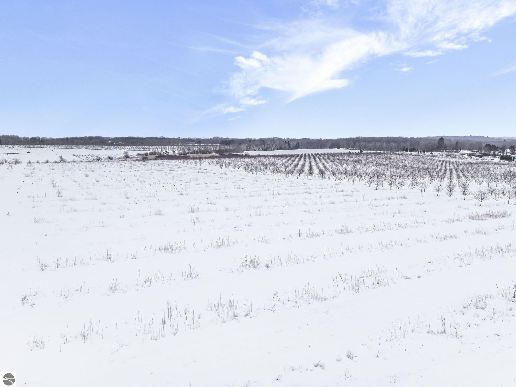 12139 Chippewa Trail