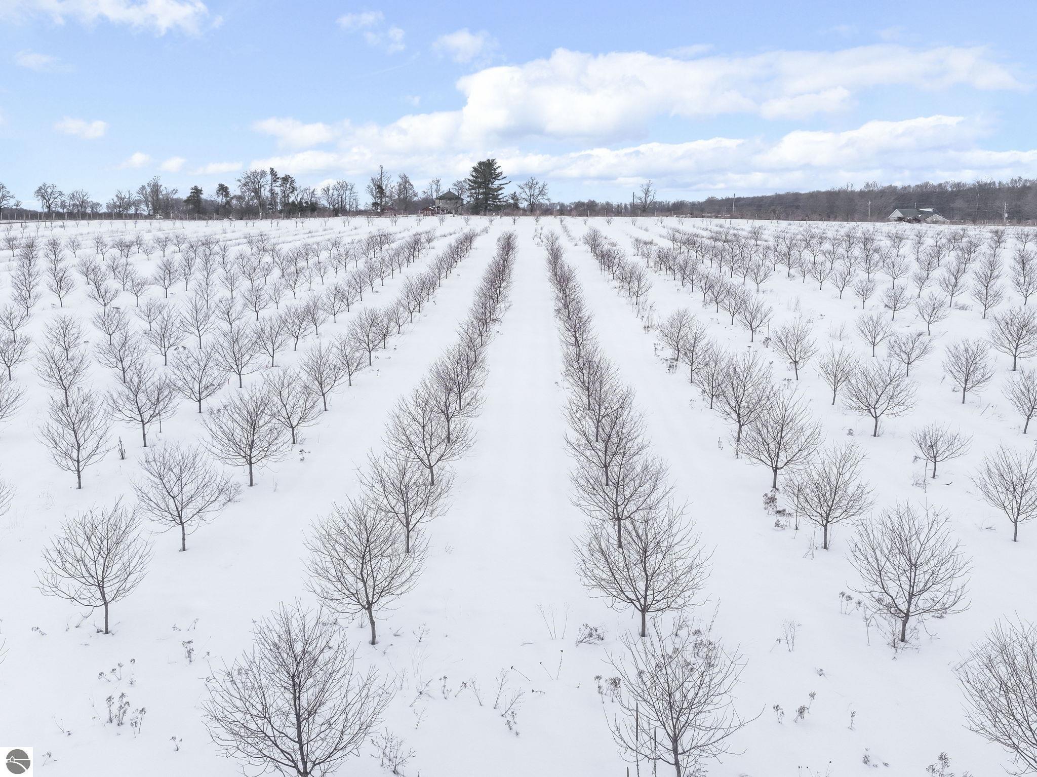 12139 Chippewa Trail